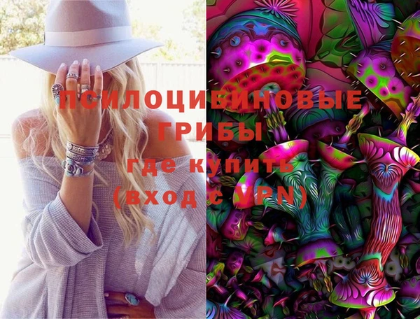 альфа пвп Алексеевка