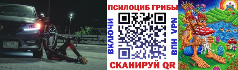 Галлюциногенные грибы ЛСД магазин Алзамай
